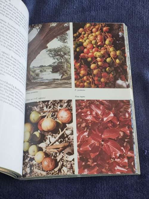 Transvaal Lowveld and Escarpment  by Jo Onderstall | South African Wild Flower Guide 4