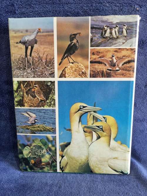 Birdlife in Southern Africa by Kenneth Newman