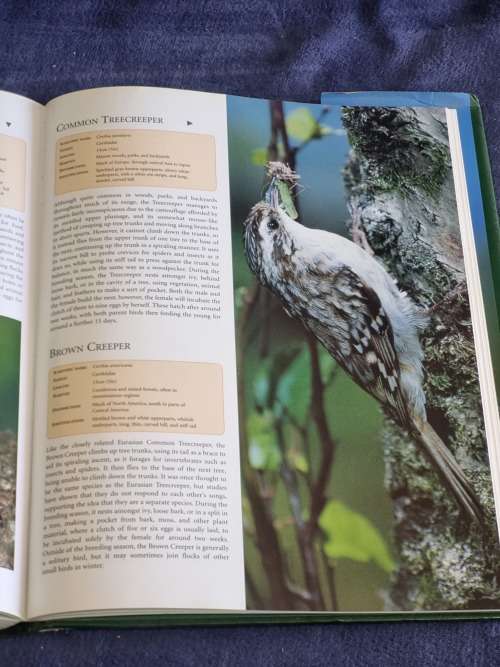 Birds of the World by Bryan Richard