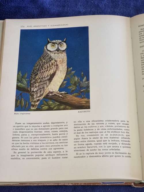 Aves Argentinas Y Sudamericanas by Carlos Vigil