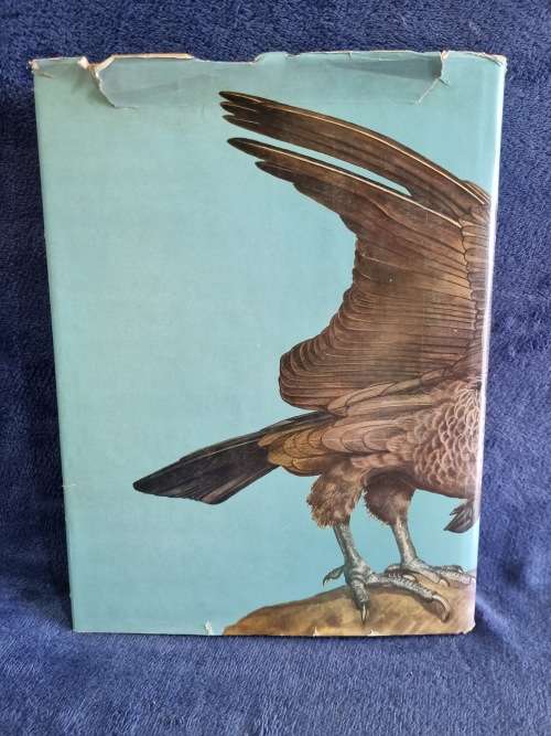 Aves Argentinas Y Sudamericanas by Carlos Vigil