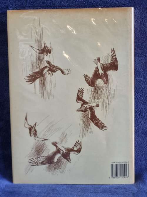 Birds of Prey a Kinship by H Von Michaelis