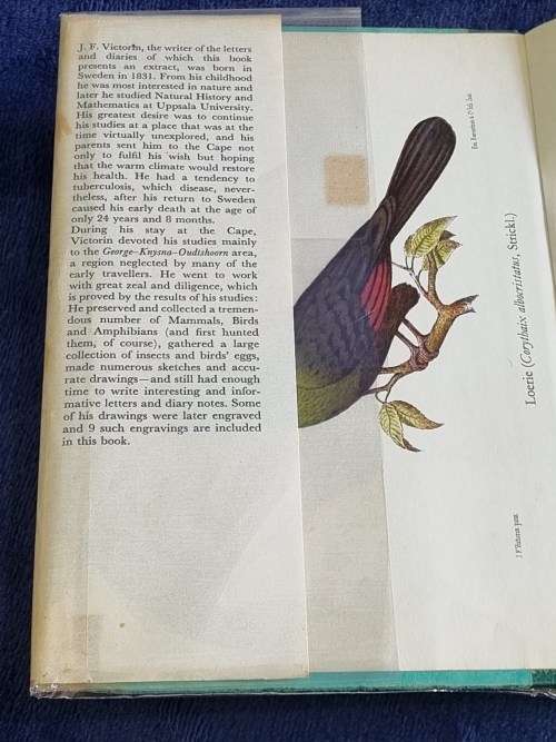 Travels in the Cape the Years 1853 - 1855 by J F Victorin