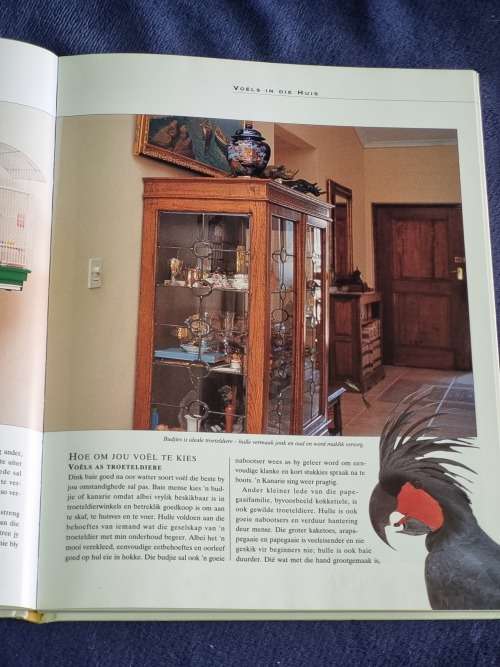Voels as Troeteldiere `n Handboek by Tony Tilford