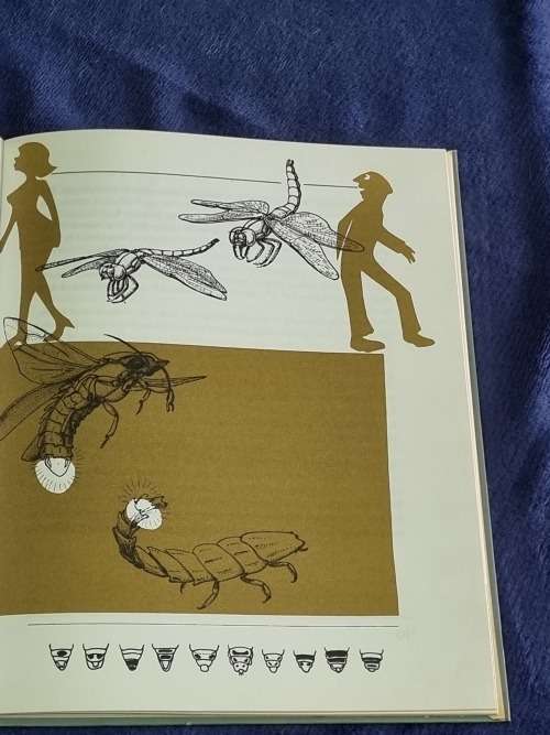 Insekgedrag Menslik Betrag by Erik Holm