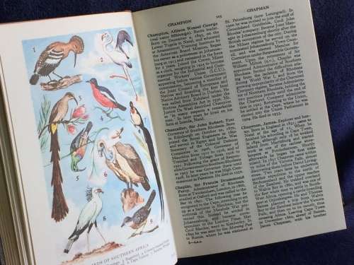 Encyclopaedia of Southern Africa  Eric Rosenthal | Fourth Edition 1967