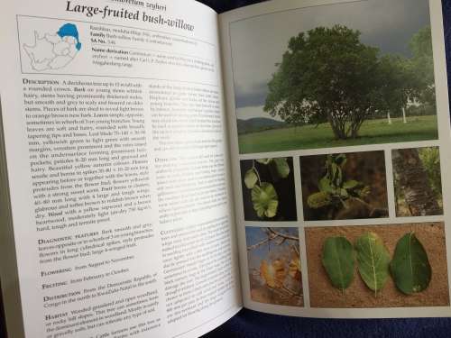 Making the Most of Indigenous Trees by Fanie Venter and Julye-Ann Venter