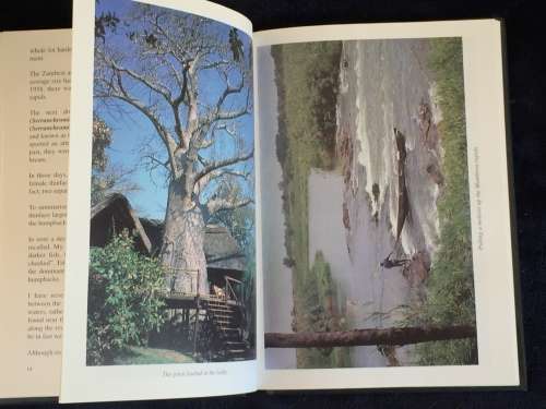 Zambezi Tiger by Malcolm Meintjes - Fly Fishing for Tiger Fish on the Upper Zambezi River ..