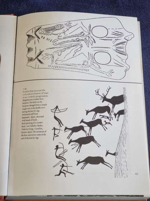 The Ascent of Man by J Bronowski