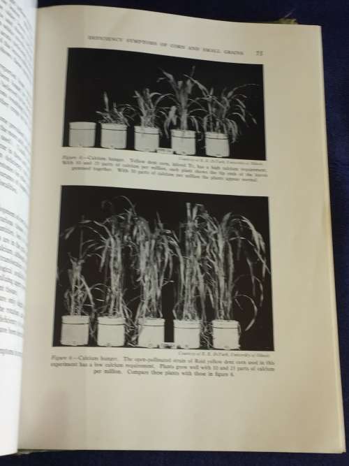 Hunger Signs in Crops: A Symposium 1949