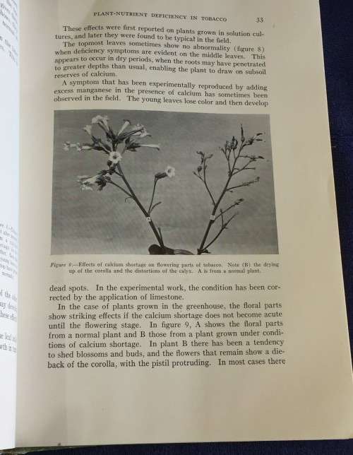 Hunger Signs in Crops: A Symposium 1949