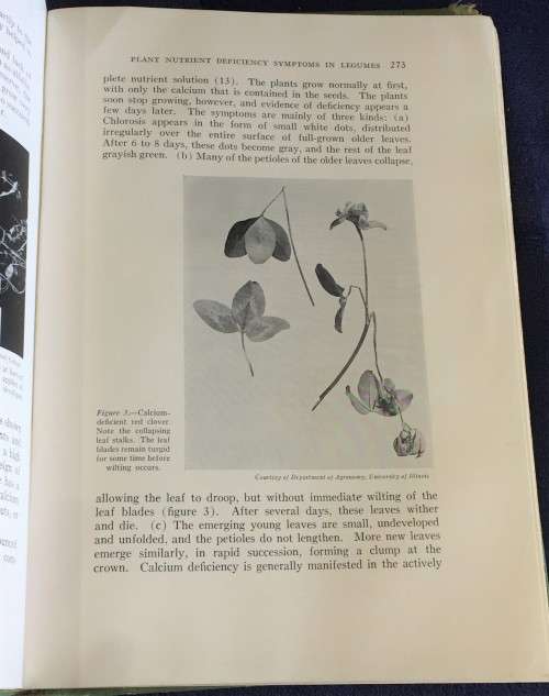 Hunger Signs in Crops: A Symposium 1949