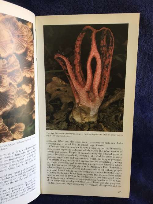 A Field Guide to the Mushrooms of South Africa by Hilda Levin, Margo Branch, Simon Rappoport...