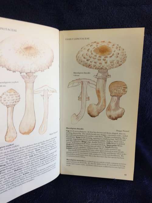 A Field Guide to the Mushrooms of South Africa by Hilda Levin, Margo Branch, Simon Rappoport...