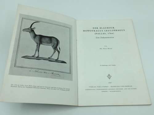 Der Blaubock Hippotragus Leucophaeus by Dr Erna Mohr | Pallas 1766 | German