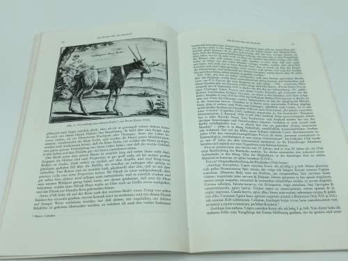 Der Blaubock Hippotragus Leucophaeus by Dr Erna Mohr | Pallas 1766 | German