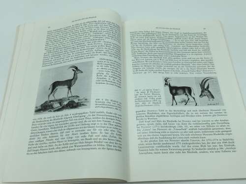Der Blaubock Hippotragus Leucophaeus by Dr Erna Mohr | Pallas 1766 | German