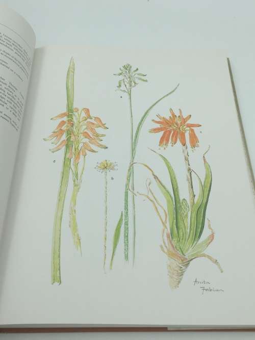 Transvaal Wild Flowers - Gerrit Germishuizen & Anita Fabian | Good First Edition