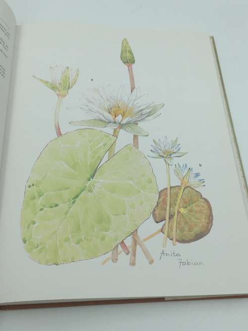 Transvaal Wild Flowers - Gerrit Germishuizen & Anita Fabian | Good First Edition