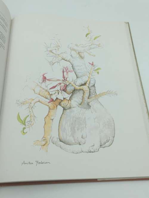 Transvaal Wild Flowers - Gerrit Germishuizen & Anita Fabian | Good First Edition