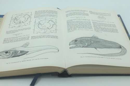 Fishes of the Southern Ocean - O Gon and PC Heemstra