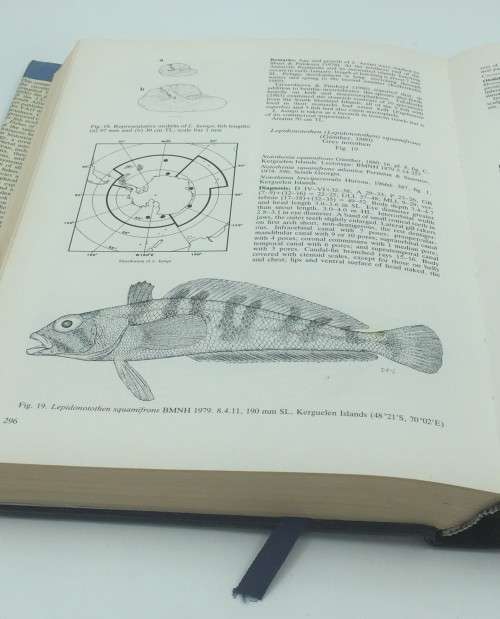 Fishes of the Southern Ocean - O Gon and PC Heemstra