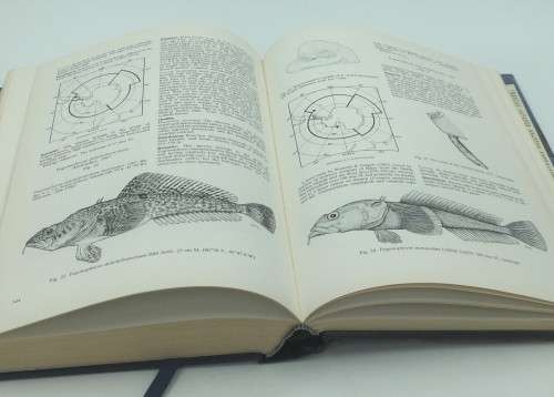 Fishes of the Southern Ocean - O Gon and PC Heemstra