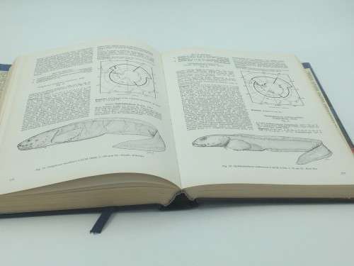 Fishes of the Southern Ocean - O Gon and PC Heemstra