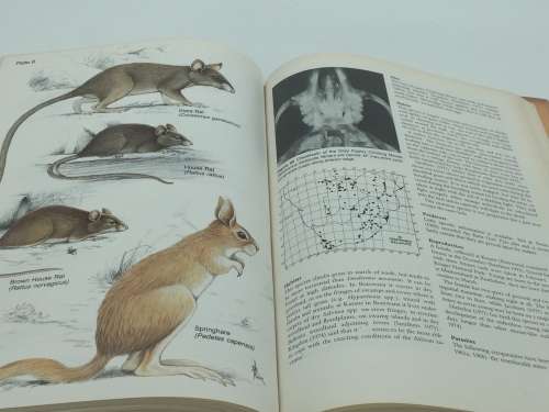 The Rodents of Southern Africa -  G de Graaff