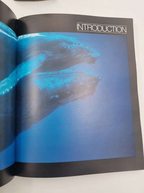 Whales of the World by Lyall Watson and Tom Ritchie