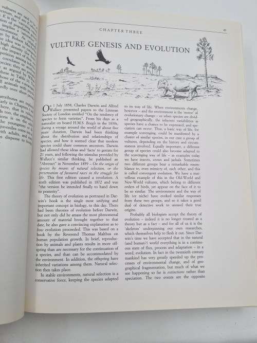 The Vultures of Africa by Peter Mundy, Duncan Butchart, John Ledger and Steven Piper