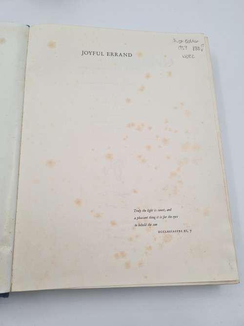 Joyful Errand by C S Stokes