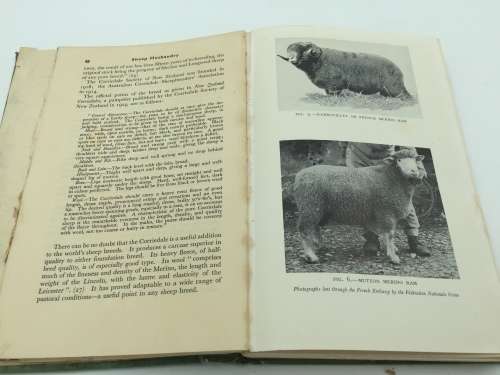 Sheep Husbandry by Allan Fraser 1949 | Poor Condition