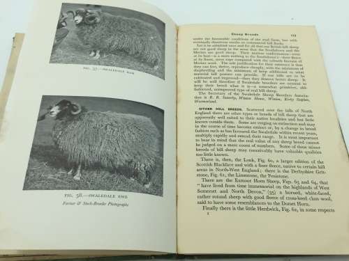 Sheep Husbandry by Allan Fraser 1949 | Poor Condition
