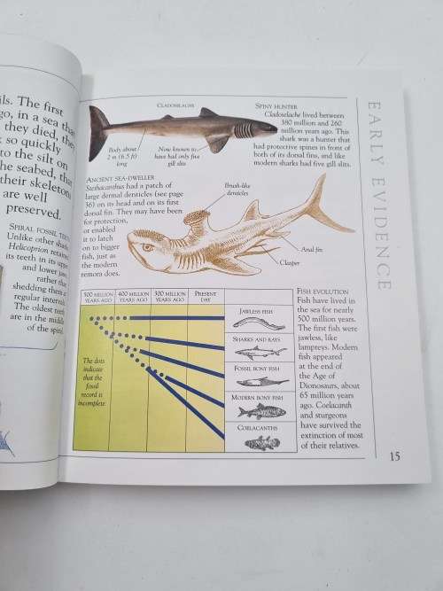 1001 Facts about Sharks by Joyce Pope and Brain Hunter Smart | Backpack Books