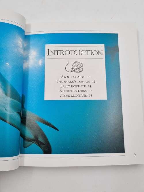 1001 Facts about Sharks by Joyce Pope and Brain Hunter Smart | Backpack Books