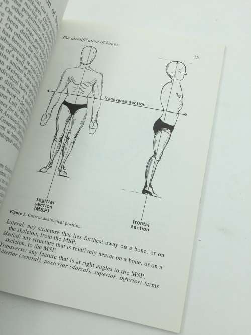 Human Bones in Archaeology by  Ann Stirland