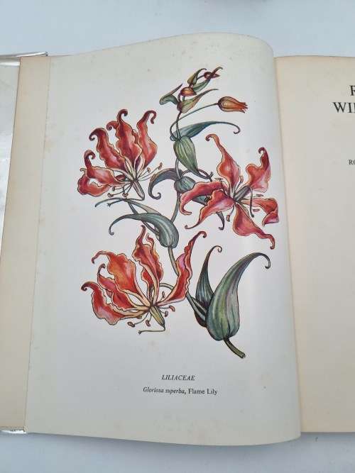 Rhodesian Wild Flowers by Martineau and Phear  | Rhodesiana