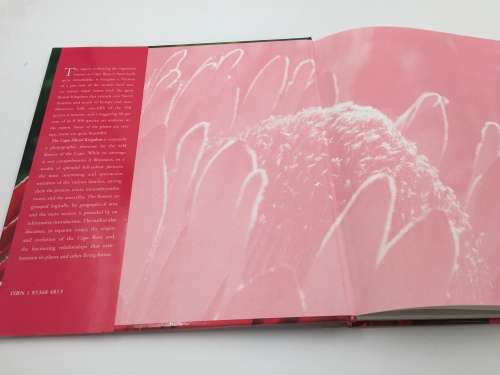The Cape Floral Kingdom by Colin Paterson-Jones