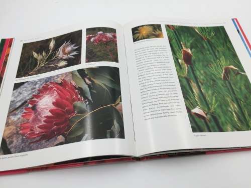 The Cape Floral Kingdom by Colin Paterson-Jones