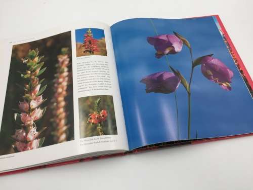 The Cape Floral Kingdom by Colin Paterson-Jones