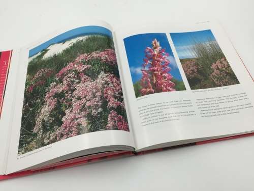 The Cape Floral Kingdom by Colin Paterson-Jones