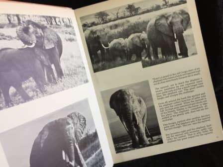 Legendary Africa in Pictures and Prose