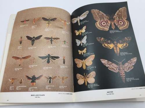 The Sandton Field Book - A Guide to the Natural History of the Northern Witwatersrand