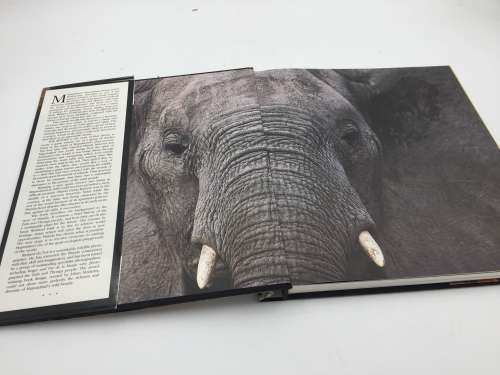 The Return The Story of Phinda Game Reserve by Shan Varty & Molly Buchanan | Subscribers Edition