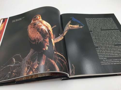The Return The Story of Phinda Game Reserve by Shan Varty & Molly Buchanan | Subscribers Edition