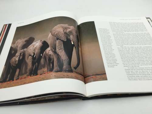 The Return The Story of Phinda Game Reserve by Shan Varty & Molly Buchanan | Subscribers Edition