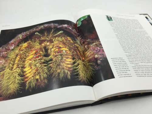 The Return The Story of Phinda Game Reserve by Shan Varty & Molly Buchanan | Subscribers Edition
