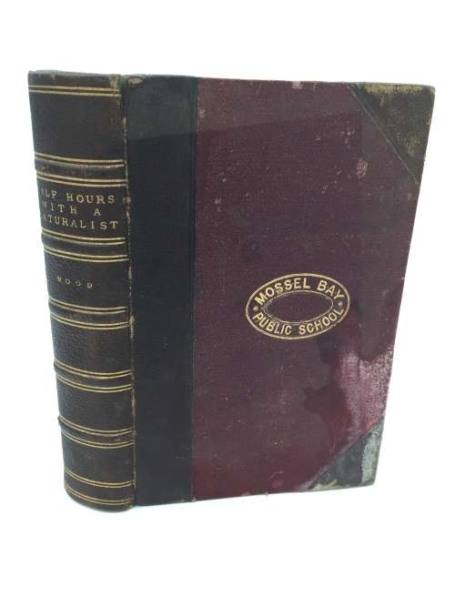 Half Hours with a Naturalist Rambles Near the Shore by Rev Wood 1889
