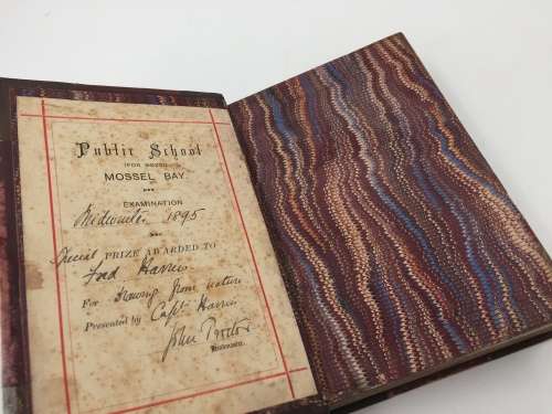 Half Hours with a Naturalist Rambles Near the Shore by Rev Wood 1889